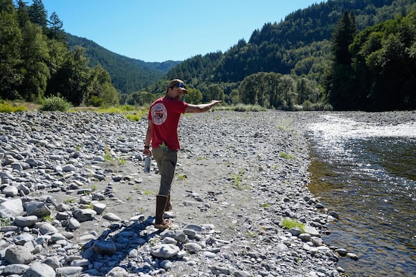 Logan McKinnon, a member of the Yurok Tribe who is involved in the restoration implementation, walks along Blue Creek, Thursday, Sept. 19, 2024, in Humboldt County, Calif. (AP Photo/Godofredo A. Vásquez)