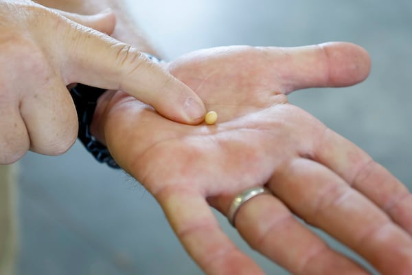 Eric Elsner, superintendent at the J. Phil Campbell Sr. Research and Education Center, displays a soy bean seed as he discusses how technology is transforming farming. (Miguel Martinez/ AJC)