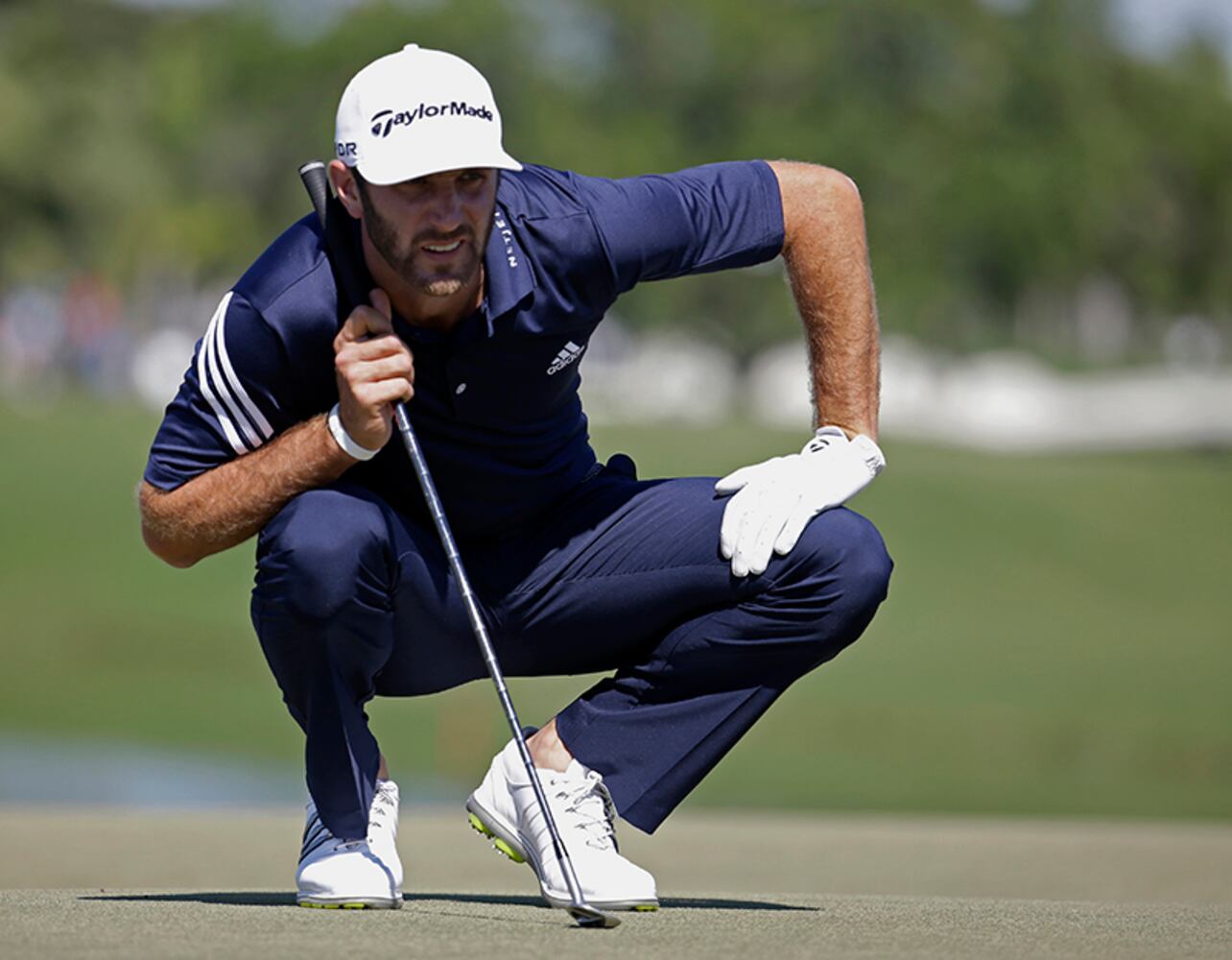 Dustin Johnson, 15-1