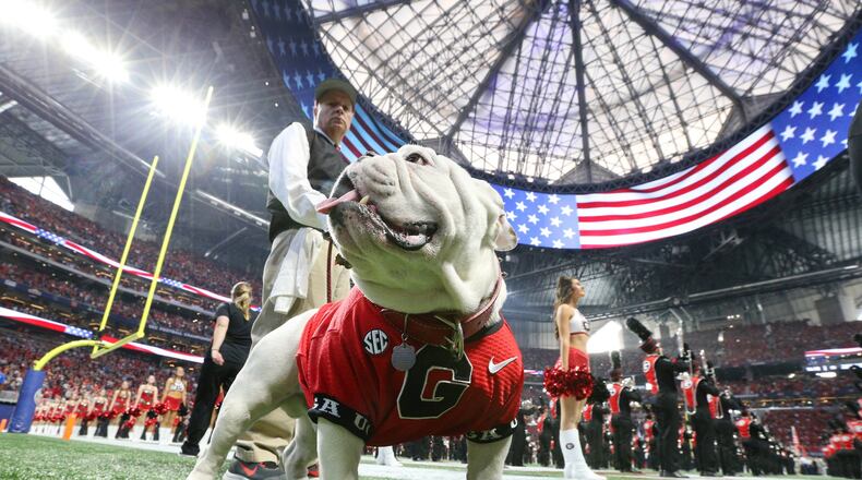 Georgia Bulldogs mascot Uga X prowls the sidelines during the first half of the SEC Football Championship at Mercedes-Benz Stadium in Atlanta. Fulton County will close its offices early Monday because of the number of people expected to attend that game. Curtis Compton / ccompton@ajc.com AJC FILE PHOTO