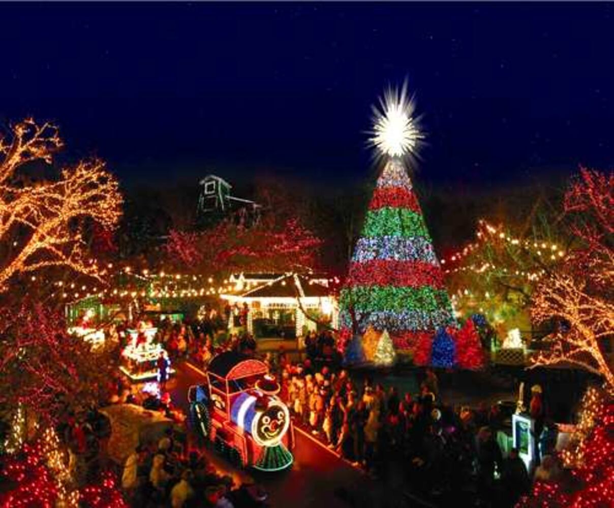 Trees represent Christmas around the world