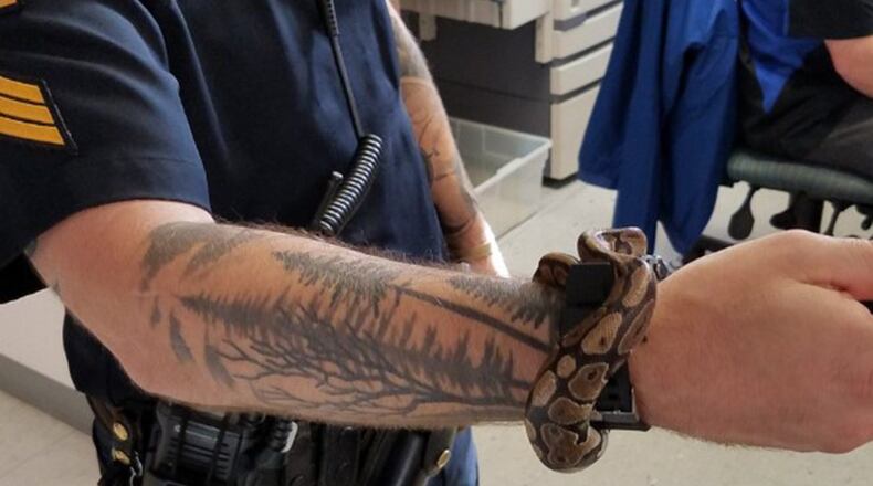 A person being arrested by the Omaha Police Department had a python in their pocket. The snake has since been taken to the Nebraska Humane Society, where it will stay for five days before going up for adoption or taken to a sanctuary.