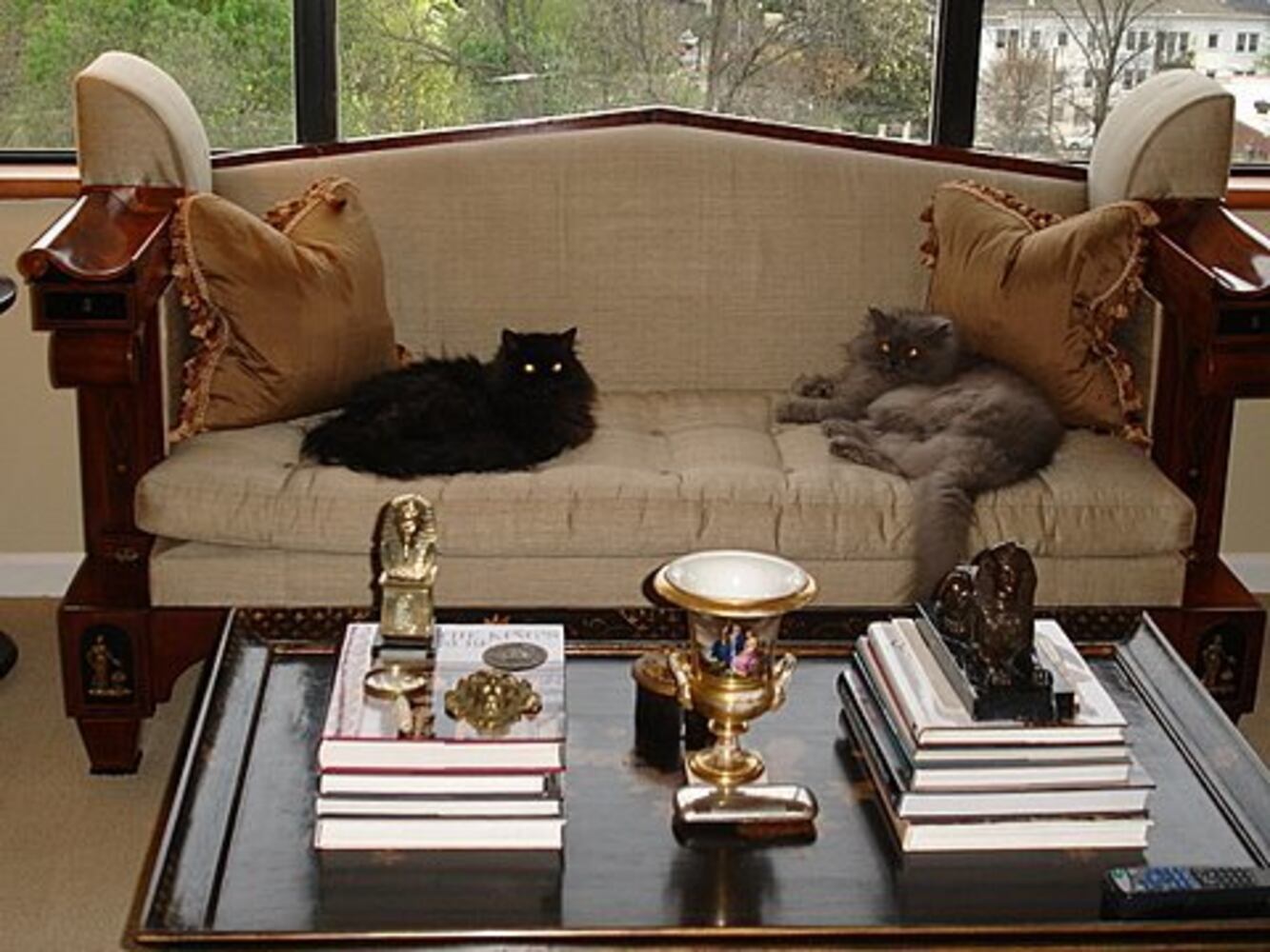 Cats Rule: Atlanta's Pampered Felines