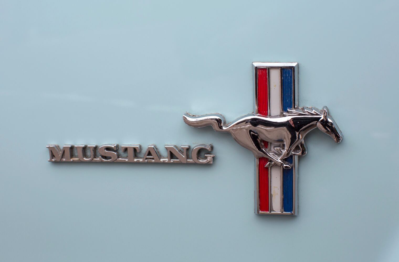1964 1/2 convertible survives