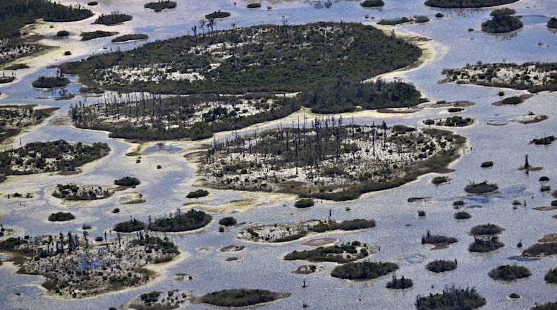 The Okefenokee Swamp on Mar. 19 in Folkston, Ga. (Hyosub Shin / Hyosub.Shin@ajc.com)