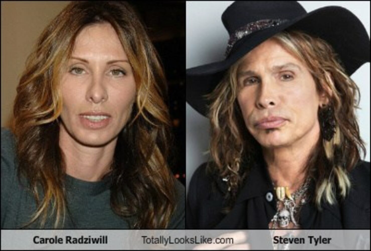 TotallyLooksLike.com
