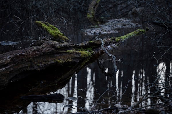 Water sits in a vernal pool Friday, March 21, 2025, in Mendon, N.Y. (AP Photo/Maryel Pryce)