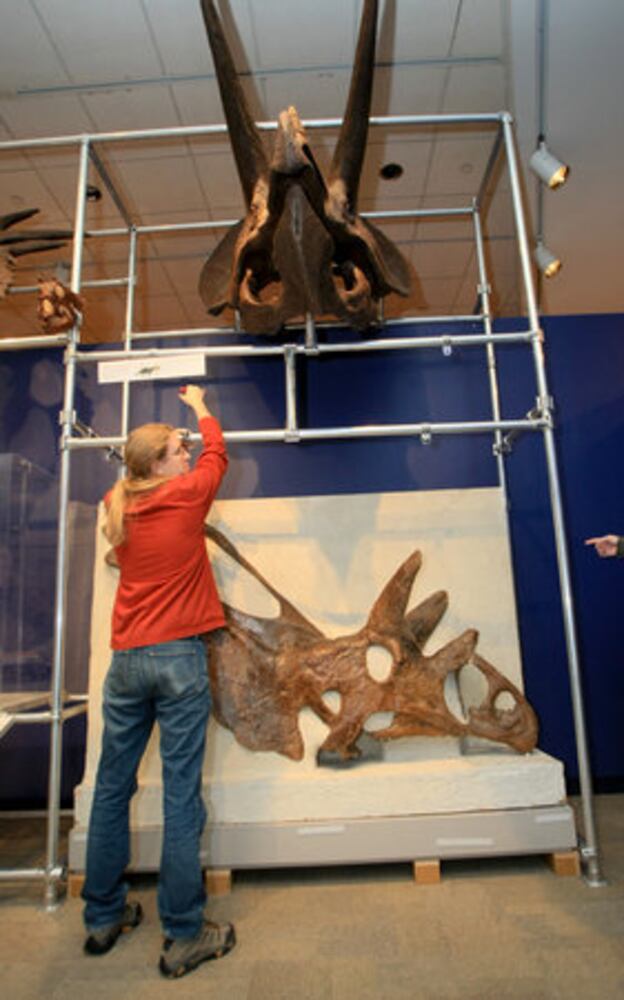 Dinosaur exhibit at Fernbank