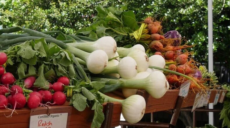 Based in Atlanta, Georgia Organics offers online videos and other kinds of assistance to people who are interested in being certified organic farmers. (Courtesy of Georgia Organics)