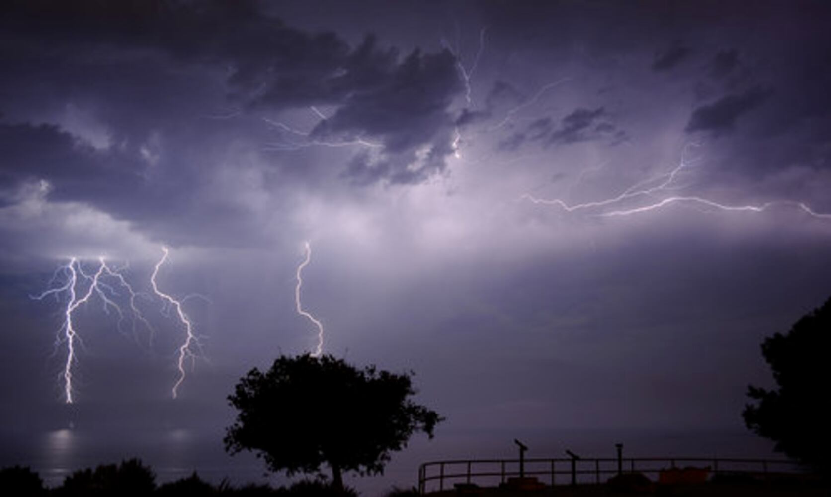 August 15, 2008: Today in Pictures