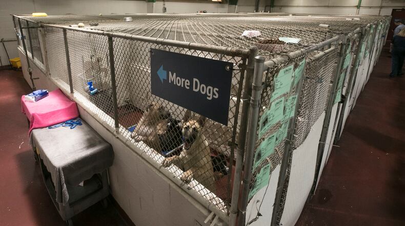 Some dogs share kennels at the Fulton County shelter, which was only designed to hold about 120 animals.