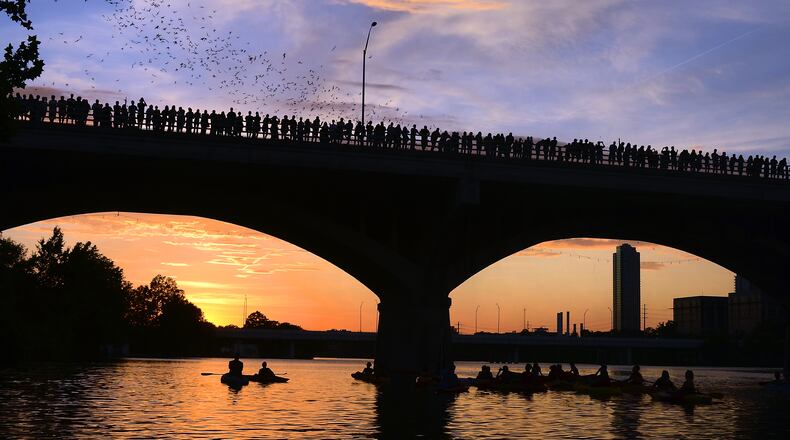 In this 2011 file photo, spectators watch from above and below the Anne Richards Congress Avenue Bridge recently as Austin’s Mexican/Brazilian Freetail Bat population leave their roosts for the daily evening emergence. Zach Ornitz/AMERICAN-STATESMAN