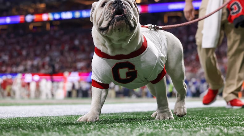 Georgia Bulldogs mascot Uga walks the sideline during the second half of the SEC Championship football game at the Mercedes-Benz Stadium in Atlanta, on Saturday, December 2, 2023. (Jason Getz / Jason.Getz@ajc.com)