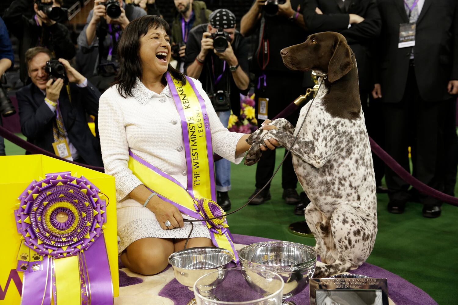 140th Westminster Kennel Club Dog Show