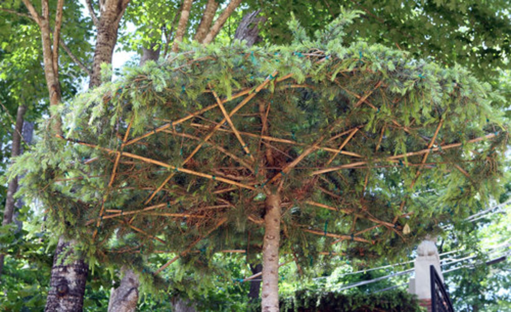 Gardens for Connoisseurs Tour