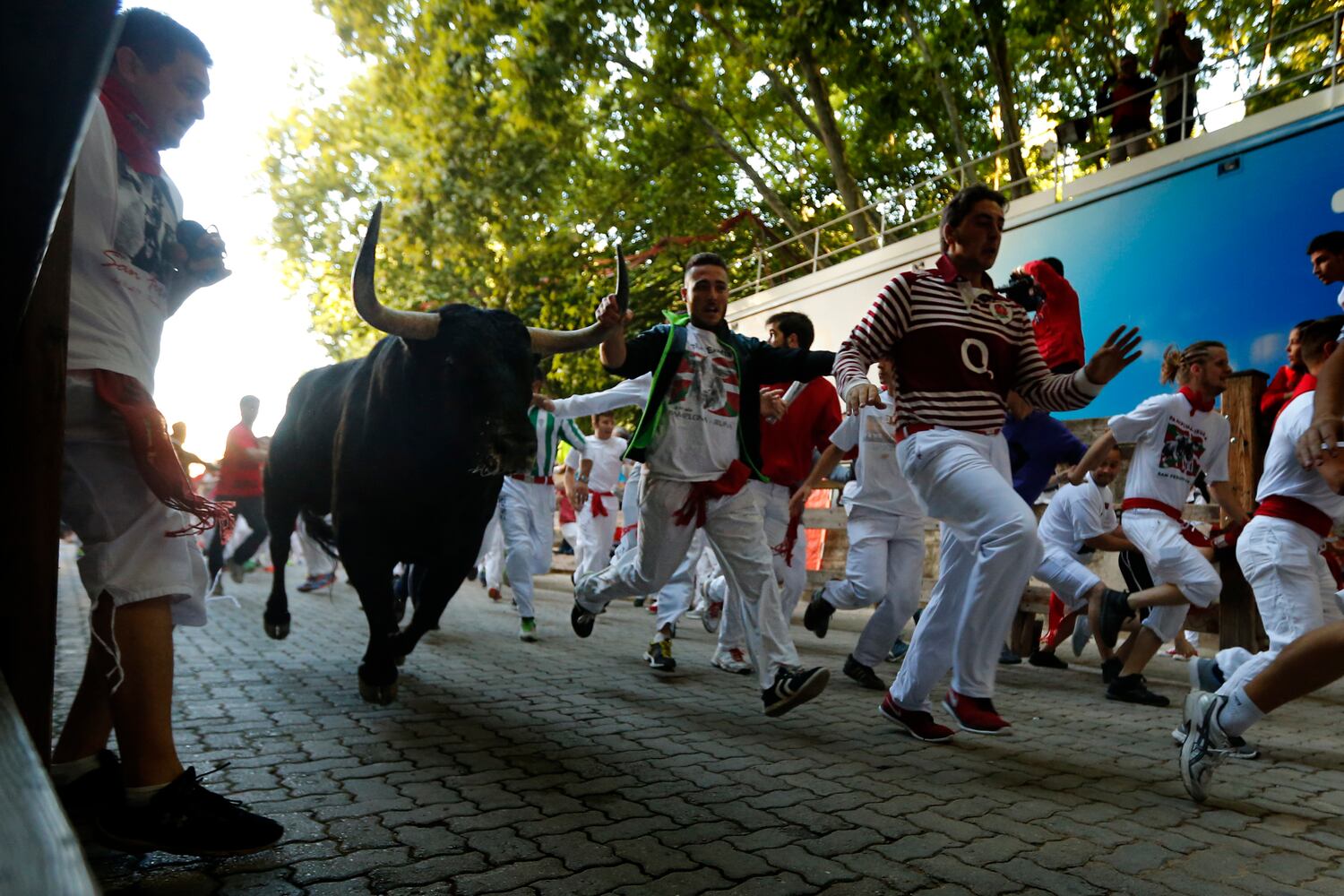Spain running of the bulls