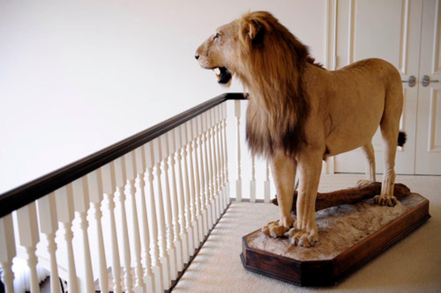 Trammel Crow CEO's penthouse soars