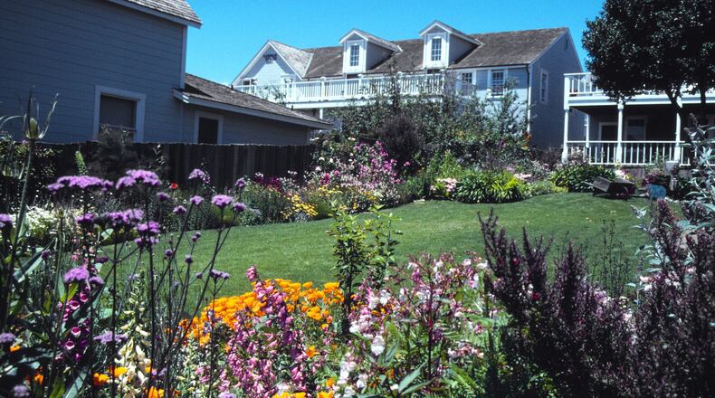 Narrow planters all around your yard can be packed with annuals this year to fill spaces between established perennials. (Handout/TNS)