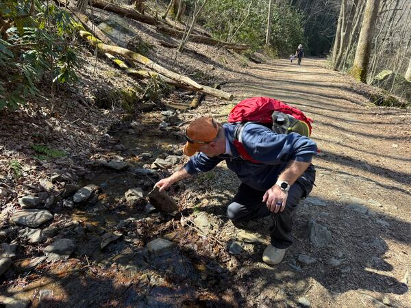 The Middle Prong Trail is abundant in flora and fauna, making the spring and fall its most popular seasons. (Courtesy of Leonard Garrison)