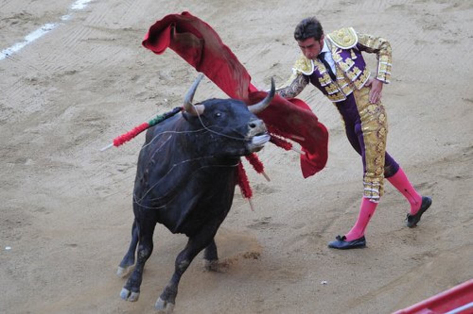 Bullfighting protest in Spain