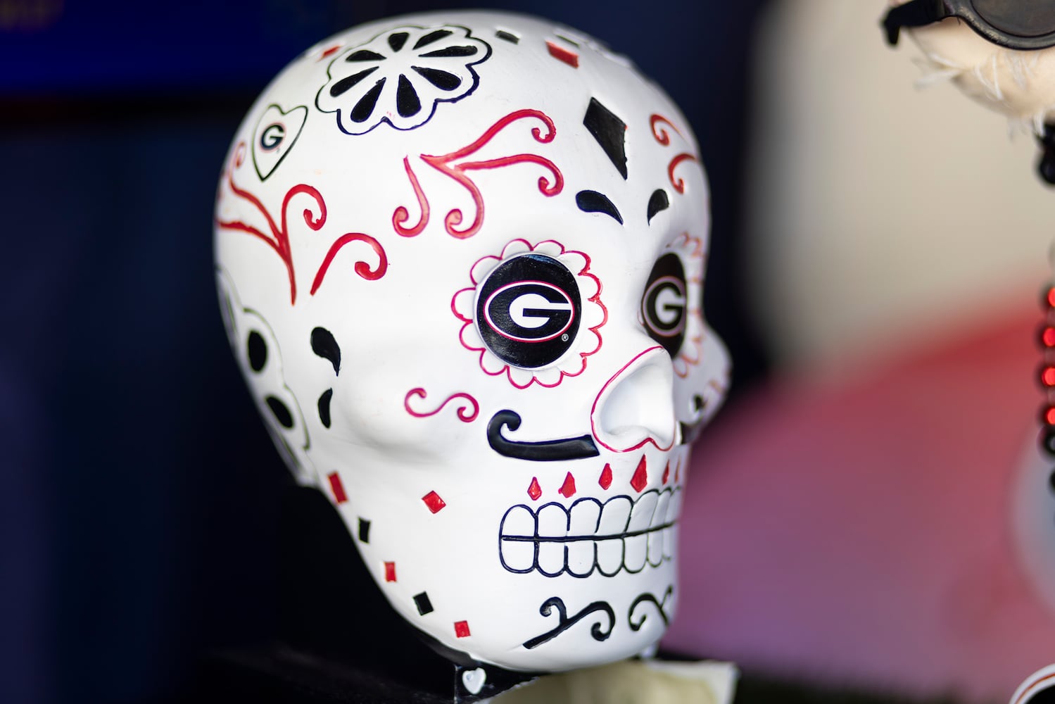 aajc 110125 georgia florida tailgating