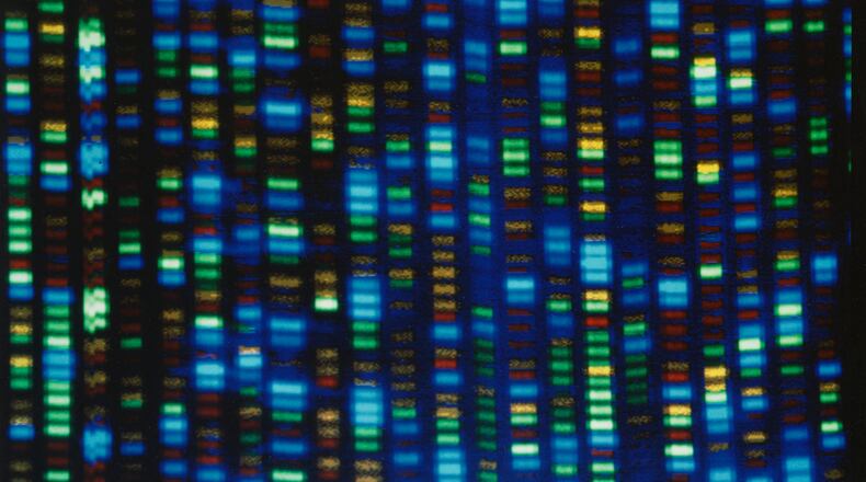 FILE - This undated image made available by the National Human Genome Research Institute shows the output from a DNA sequencer. (NHGRI via AP, File)