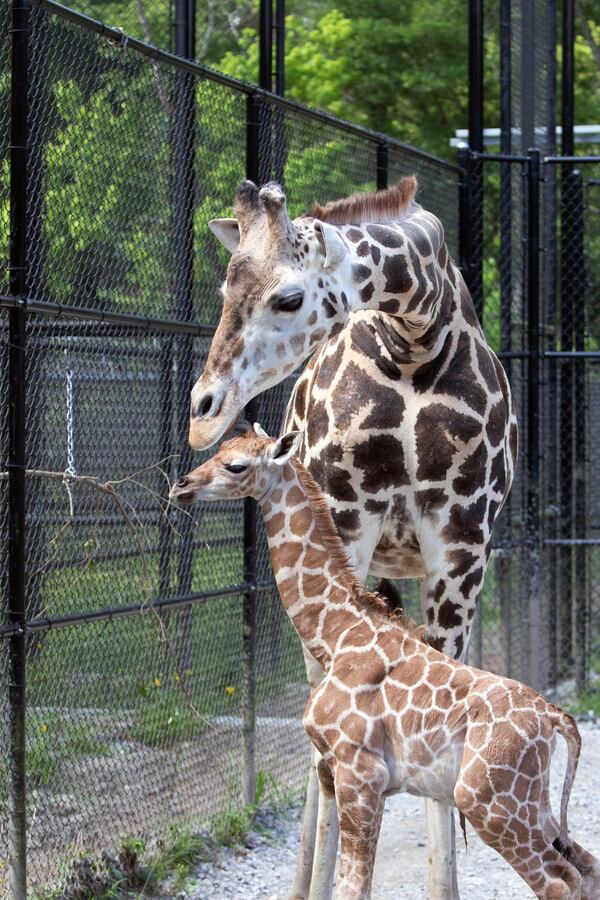 Hope checked in at 6 feet and about 190 pounds.