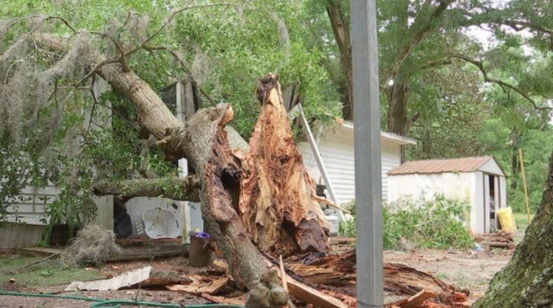 A 9-month-old baby suffered minor injuries when an oak tree fell on her home.