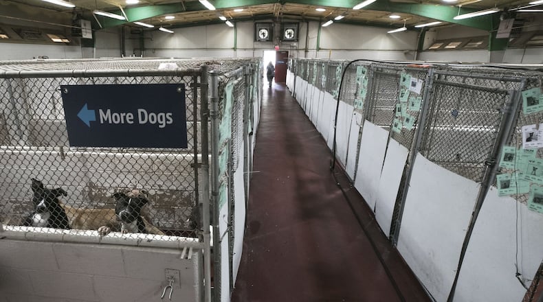 Some dogs share kennels in the main building. Fulton County proposes to build the largest animal shelter in the state (and one of the largest in the country). Their existing shelter, built in the ’70s, is overcrowded and needs renovations. Bob Andres / bandres@ajc.com