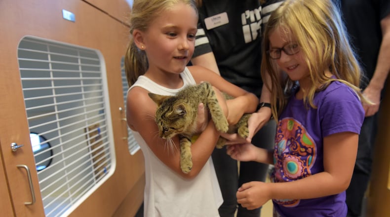 Sisters Ella, 7, and Arrington Boggs 5, interact with Seth, a shorthair mixed kitty at the shelter. DeKalb County officials, animal advocates and members of the public attend the opening of the county's new $12 million DeKalb animal shelter on last month. KENT D. JOHNSON / AJC