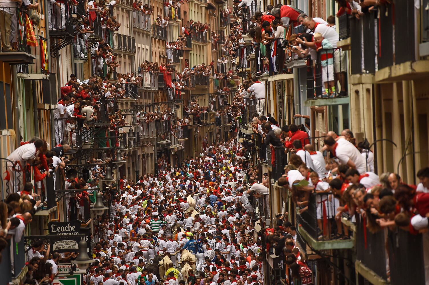 Spain running of the bulls