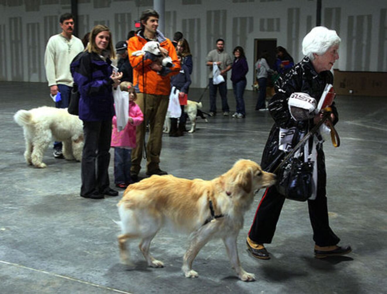 It's Me or the Dog' casting call