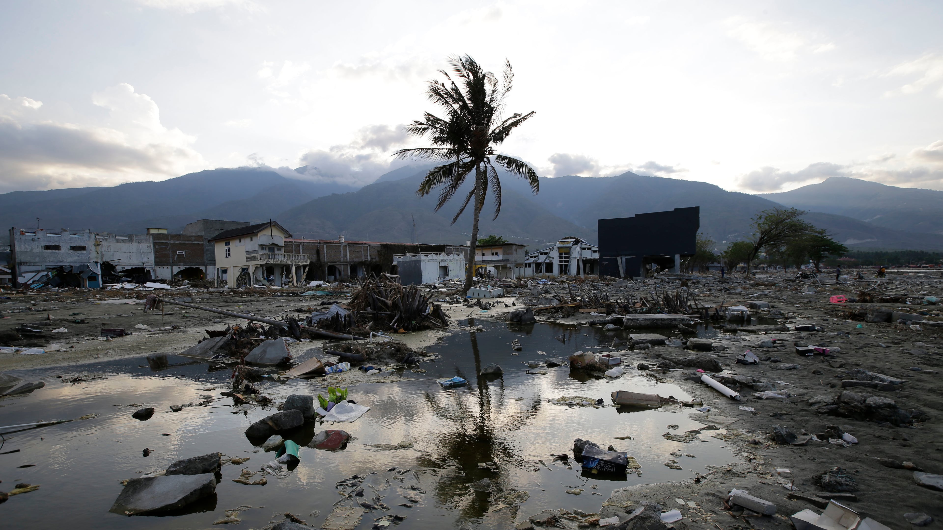 FILE - A lone tree stands in the debris from structures that were wiped out after a massive earthquake and tsunami hit Palu, Central Sulawesi, Indonesia, Thursday, Oct. 4, 2018. (AP Photo/Aaron Favila, File)
