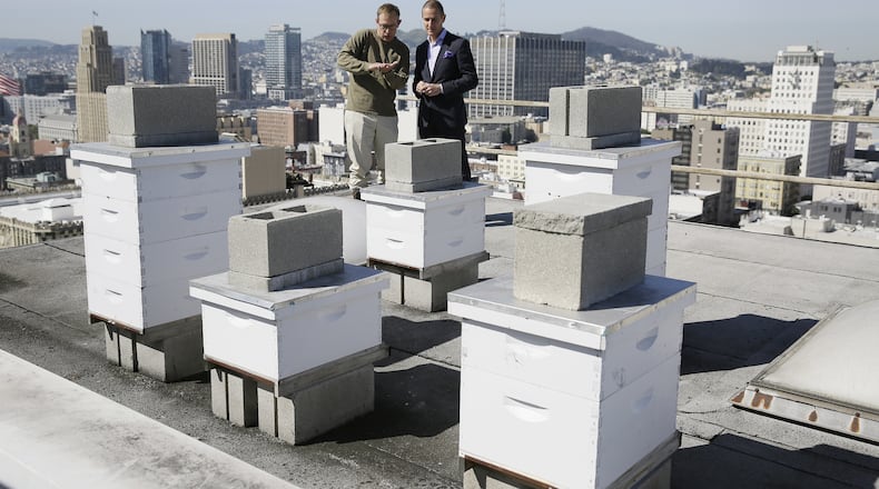 In this photo taken Monday, April 18, 2016, beekeeper Roger Garrison, left, and hotel general manager Michael Pace look over beehives on top of the Clift Hotel in San Francisco. At least seven San Francisco hotels have built rooftop beehives that produce honey for food, cocktails and spa products. Convention and tourist hotels from Union Square to Fisherman’s Wharf say they’re doing their small part to combat worldwide honeybee colony collapse. (AP Photo/Eric Risberg)