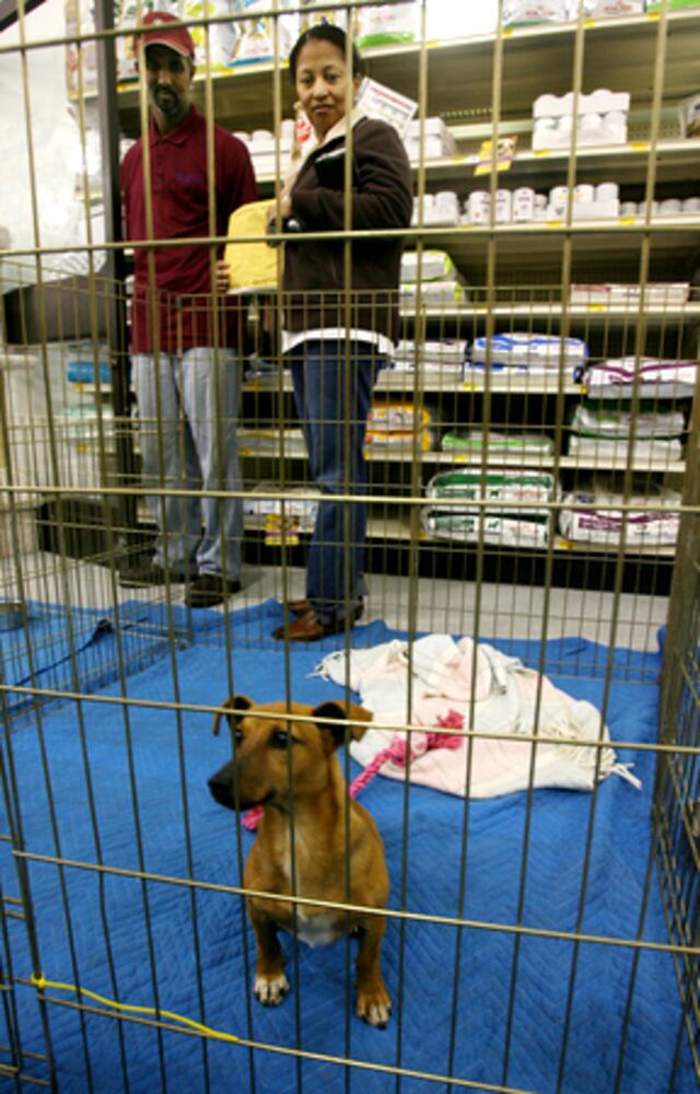 Economy's bad on pets, too