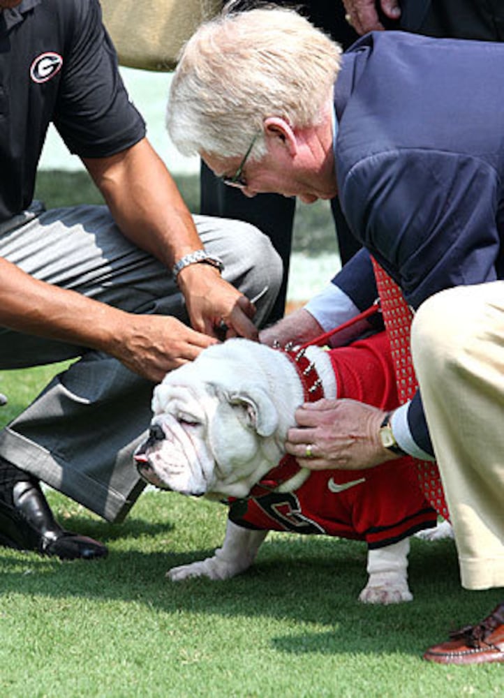 Georgia mascot Uga VII dies