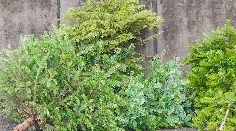 Keep North Fulton Beautiful will host three upcoming tree recycling events as part of “Bring One for the Chipper.” (Courtesy The Home Depot)