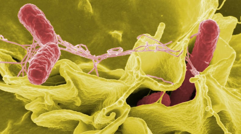 A strain of salmonella that's killed two and sickened more than 250 people may not respond to the antibiotics recommended to treat it, according to the Centers for Disease Control and Prevention.
