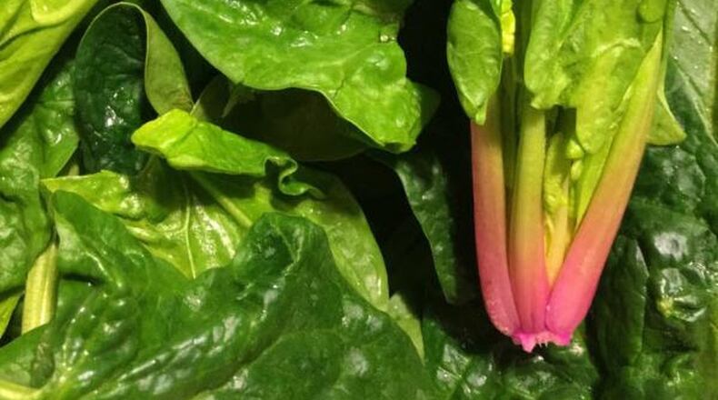 Spinach, the bloodiest of greens. Photo by Ari LeVaux.