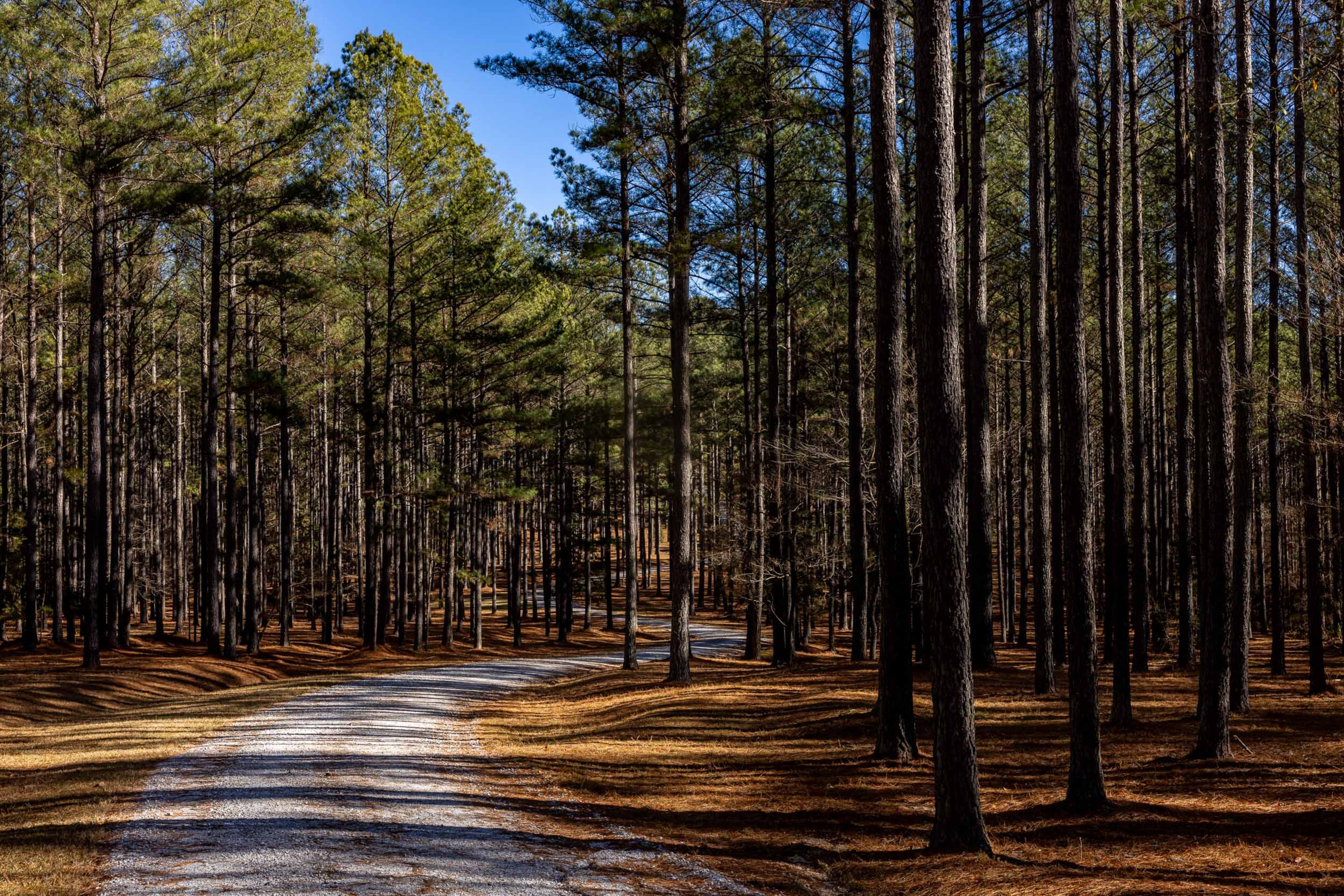 Former Southern Co. CEO Allen Franklin listed his 850-acre property and mansion near LaGrange for sale for $5.5 million. Photo courtesy of Oakwood Realty Group/David Cannon Photography.