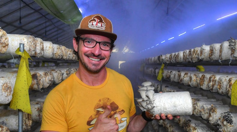 Howard Berk, co-owner of Ellijay Mushrooms in North Georgia, poses with a log of oyster mushrooms amidst the eerie mist and blue light in one of the greenhouses on the farm. (Chris Hunt for The Atlanta Journal-Constitution)