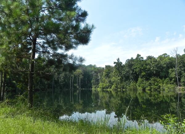 Elephant Refuge North America's property includes two lakes. Photo credit: Elephant Aid International
