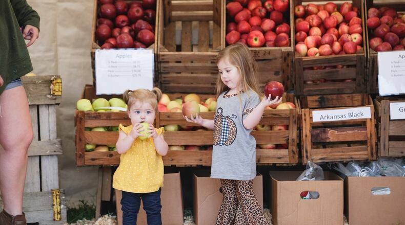 It’s never too early to eat an apple, especially when you’re at the Georgia Apple Festival in Ellijay. Courtesy of Georgia Apple Festival / Outlive Creative