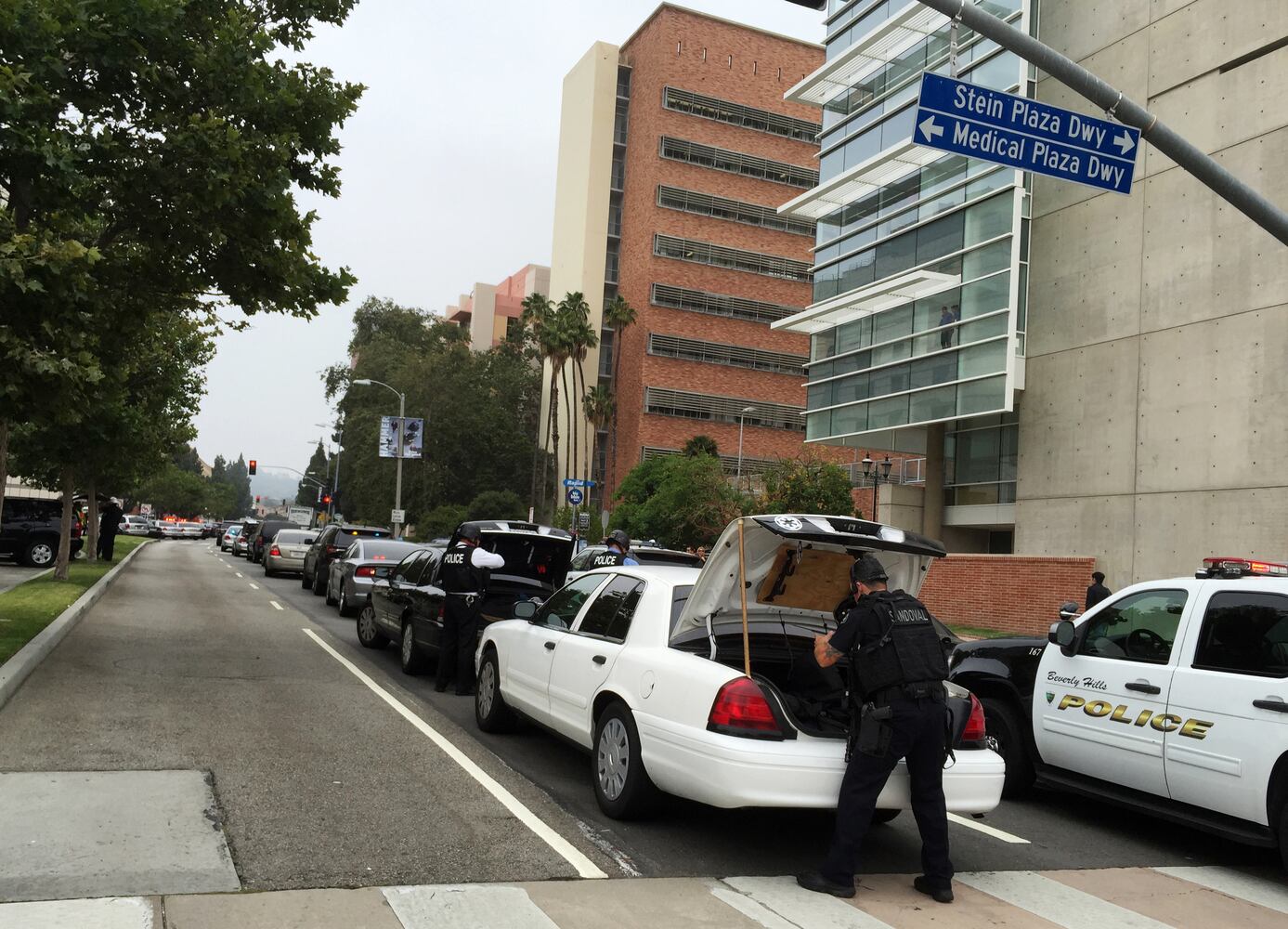 UCLA shooting