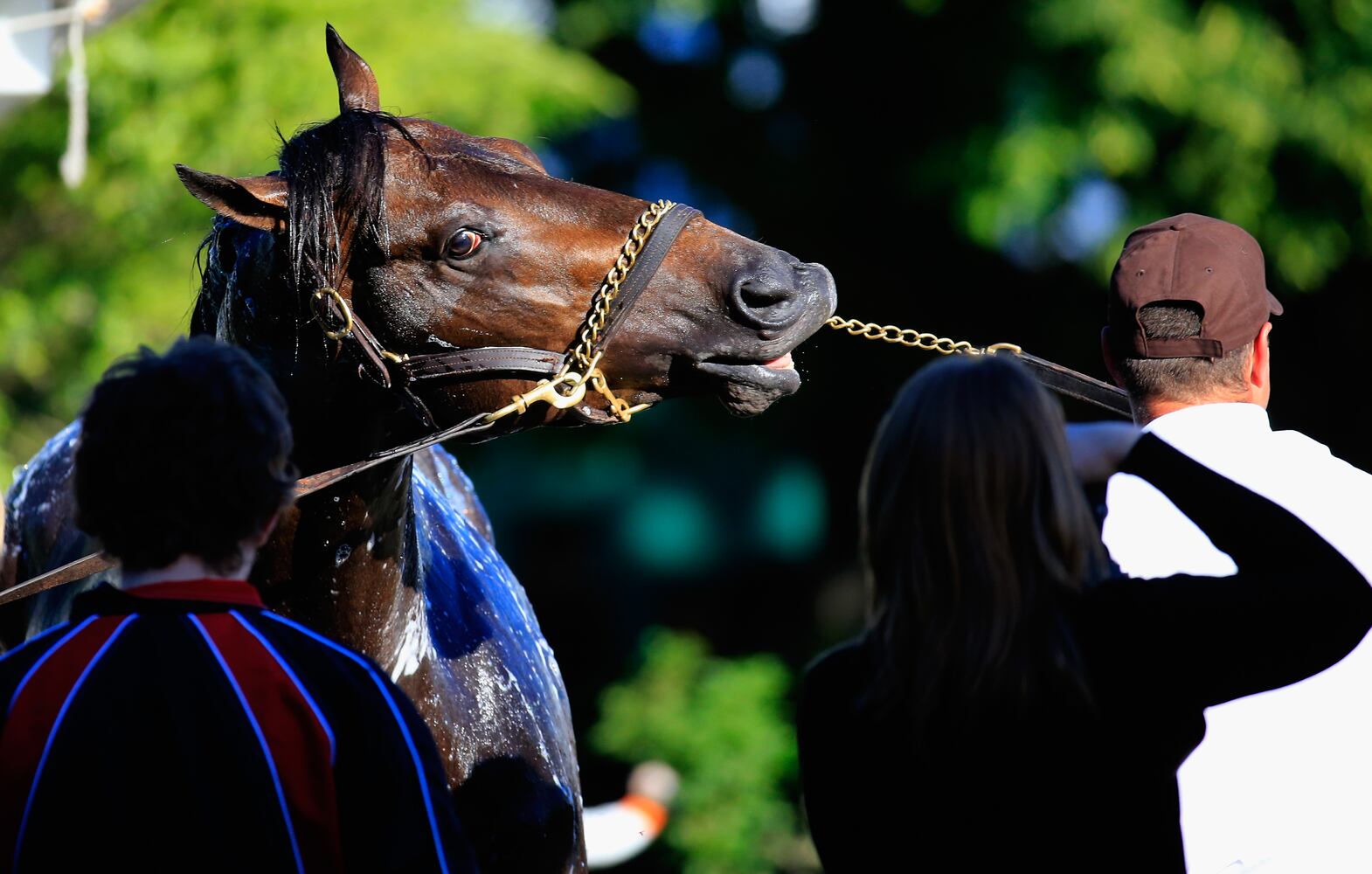 Belmont Stakes preps