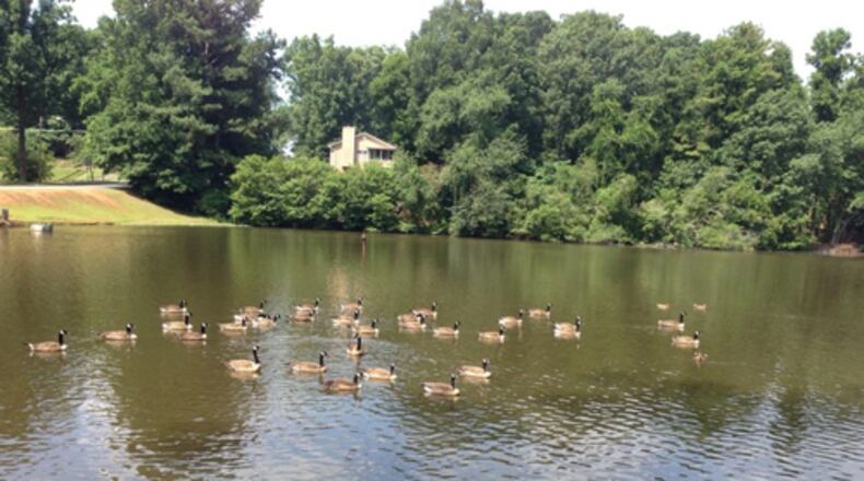 A new fishing pier goes online Friday at Chapel Hill Park. CONTRIBURED