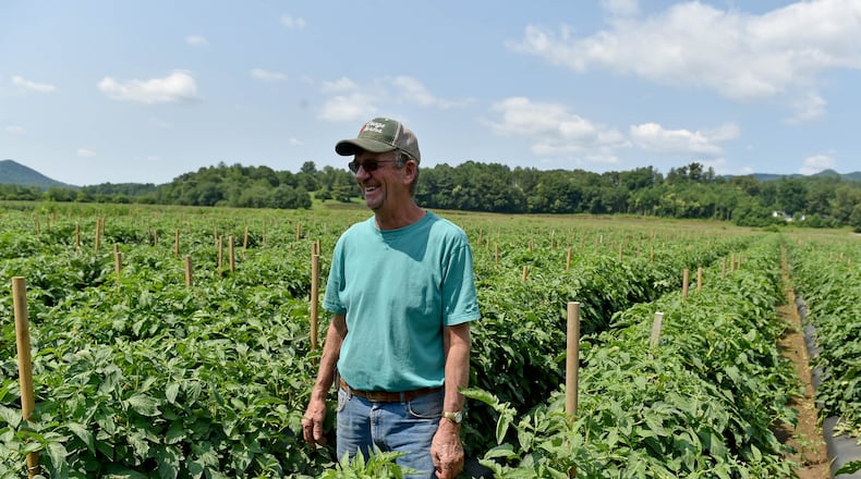 Ricky James, owner of Osage Farms in Dillard grows a variety of produce, including tomatoes, to sell around the country and locally in their produce stand.