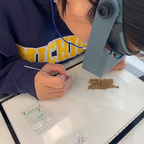 Papyrus Conservation Summer Seminar student Shijin (Giada) Jiang examines a papyrus fragment at the University of Michigan, Thursday, Aug. 6, 2026, in Ann Arbor, Mich. (AP Photo/Mike Householder)