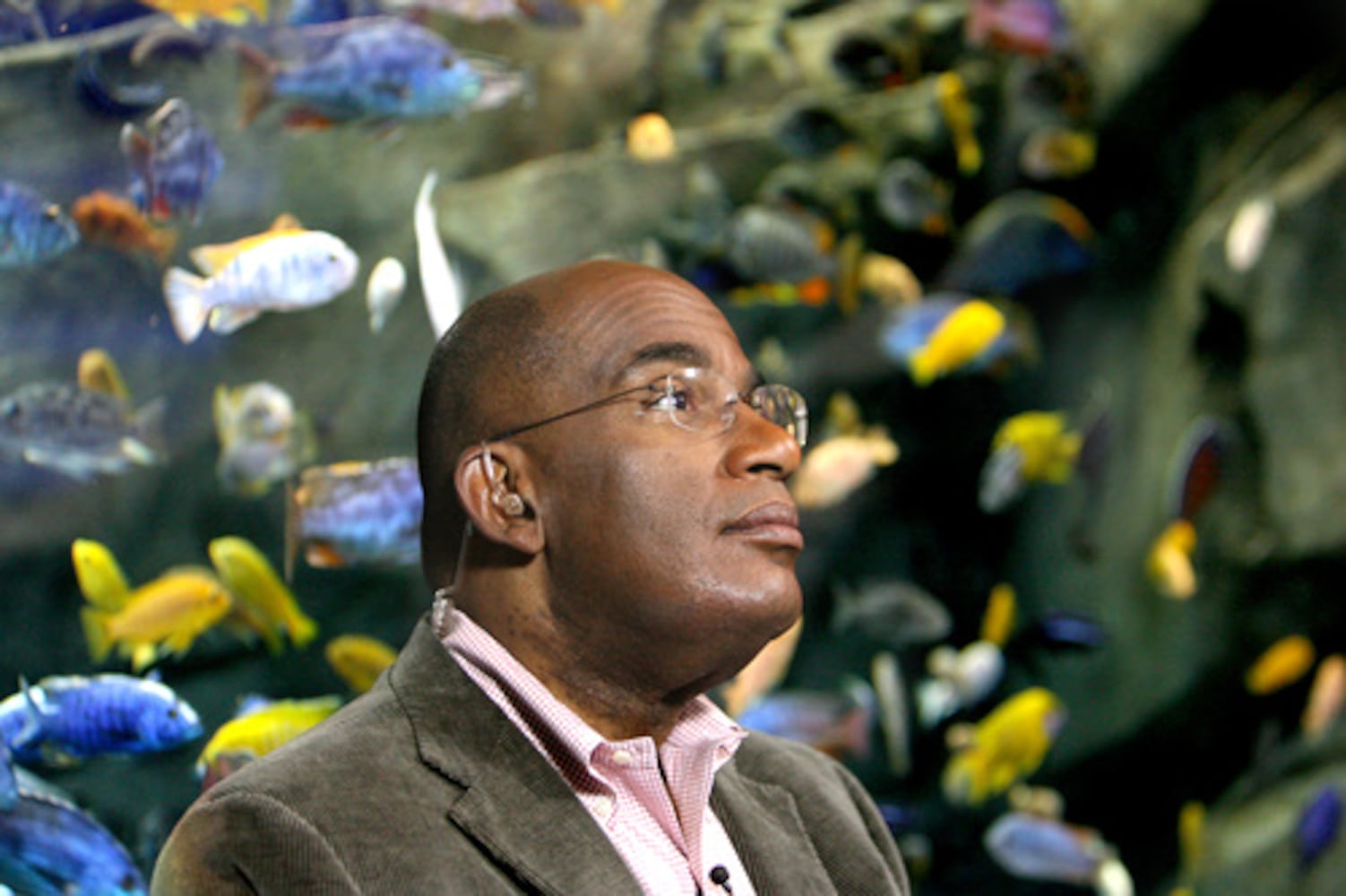 Today' show returns to Georgia Aquarium