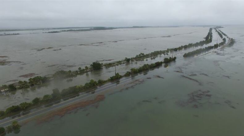 Photo by the Tybee Island Police Department